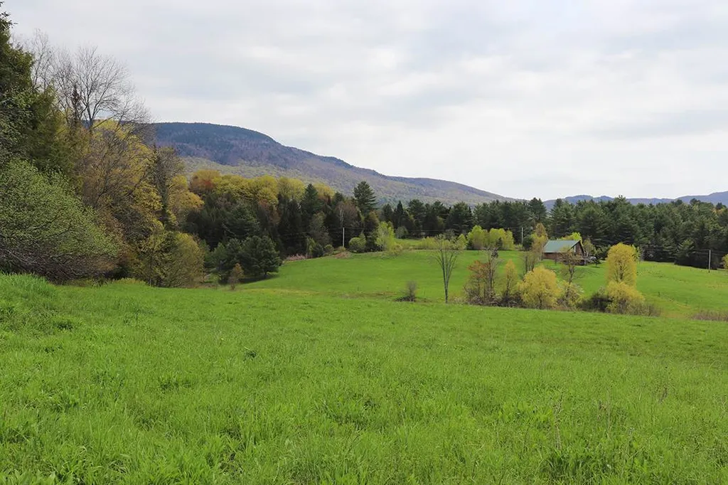15 Fitzgerald Road Morristown VT 05661