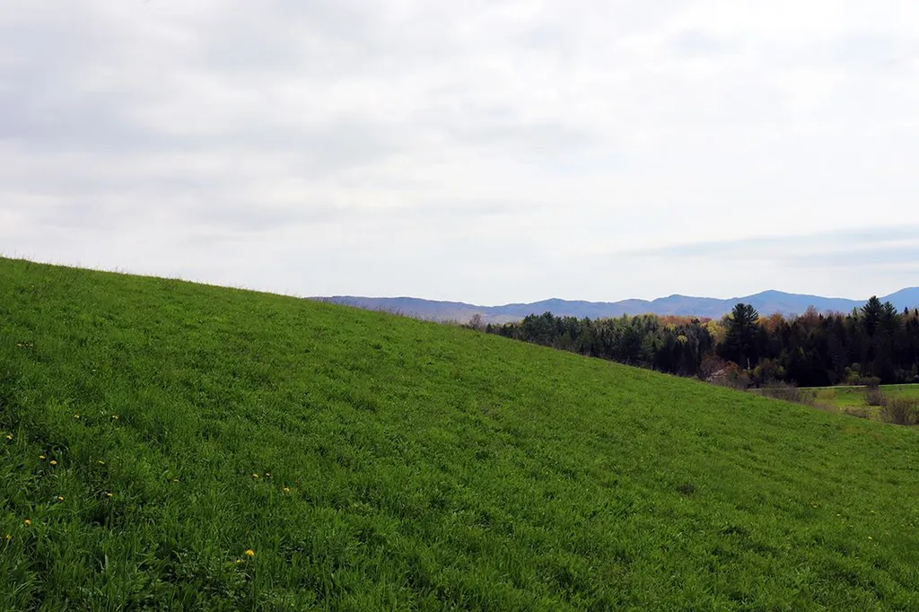 15 Fitzgerald Road Morristown VT 05661