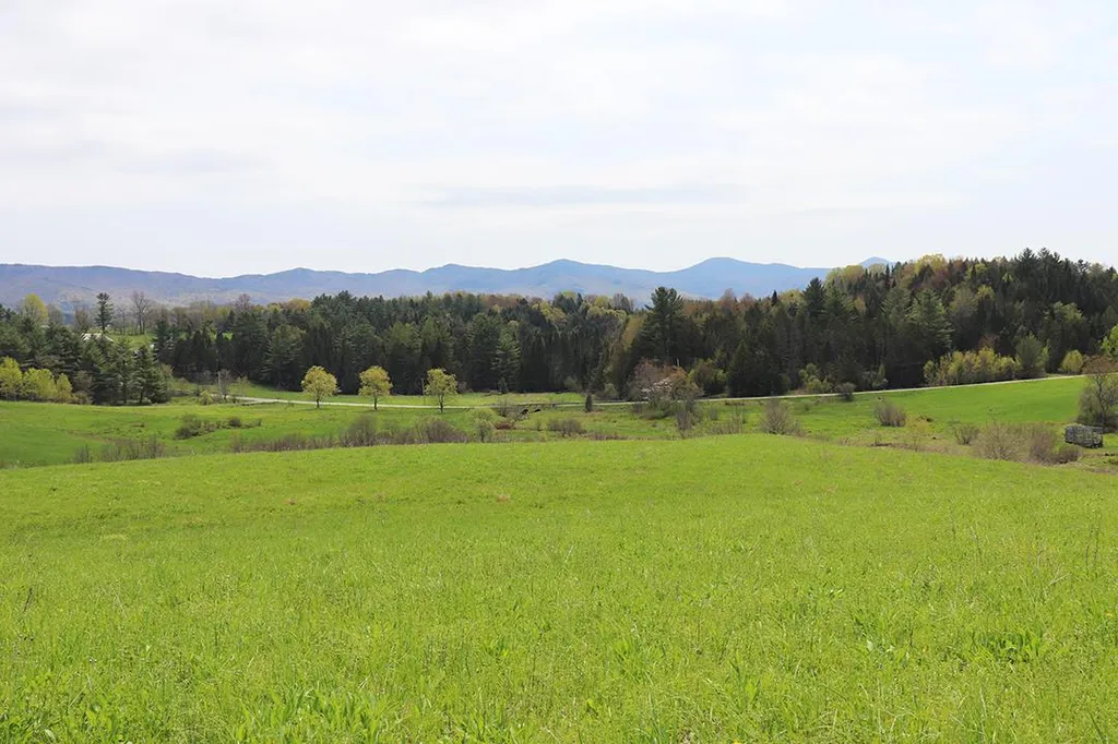 15 Fitzgerald Road Morristown VT 05661