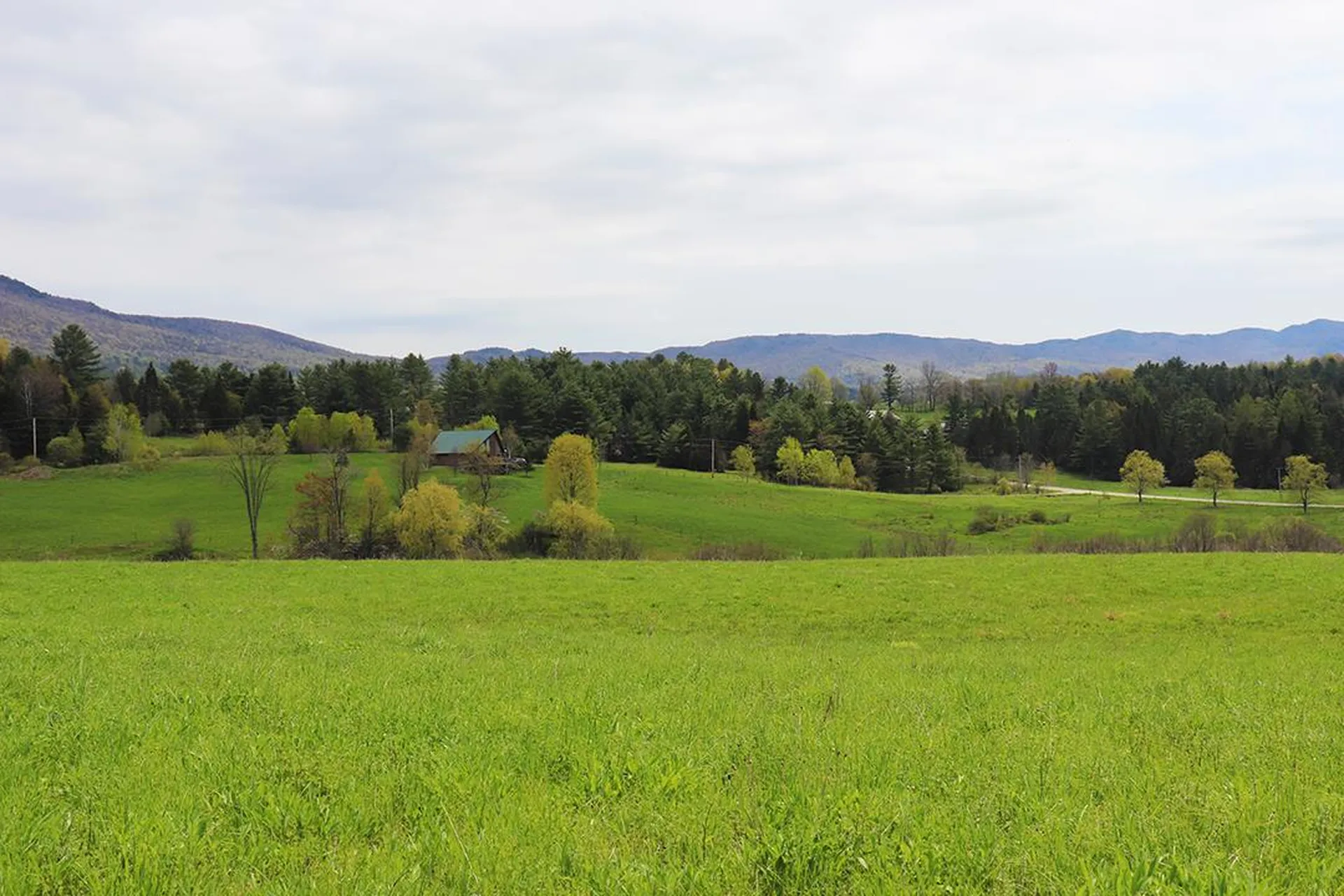15 Fitzgerald Road Morristown VT 05661