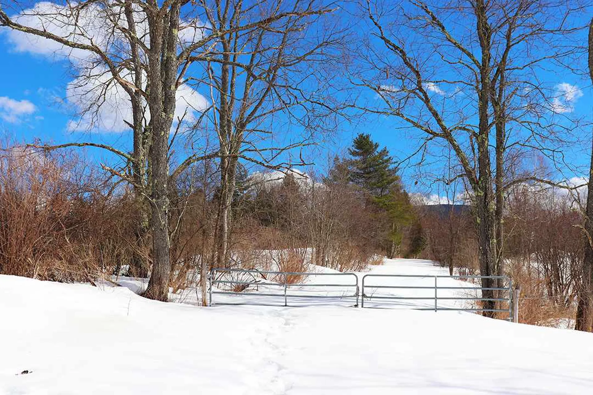 15 Fitzgerald Road Morristown VT 05661