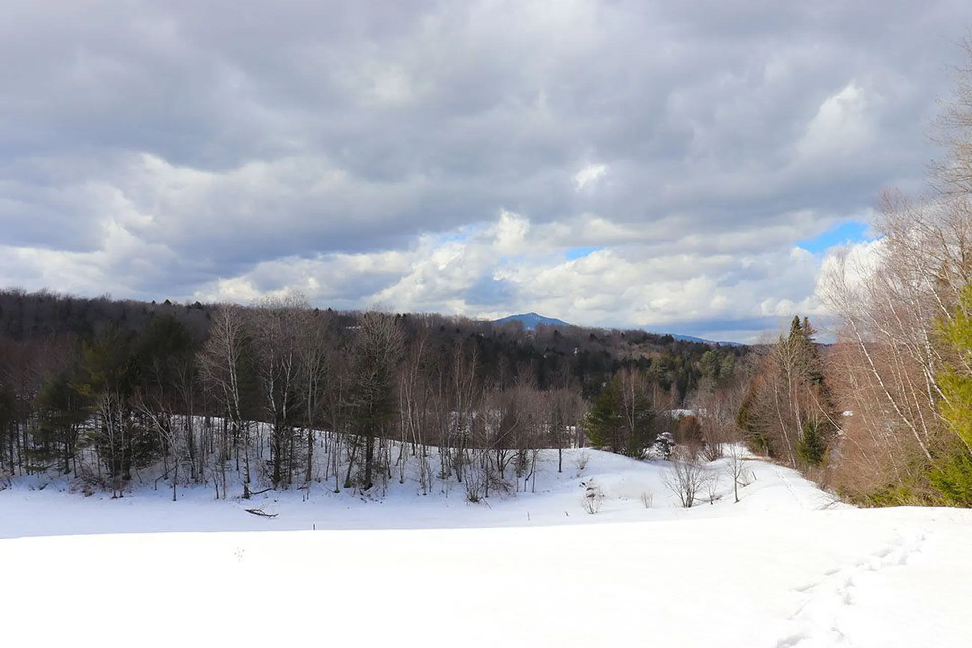15 Fitzgerald Road Morristown VT 05661