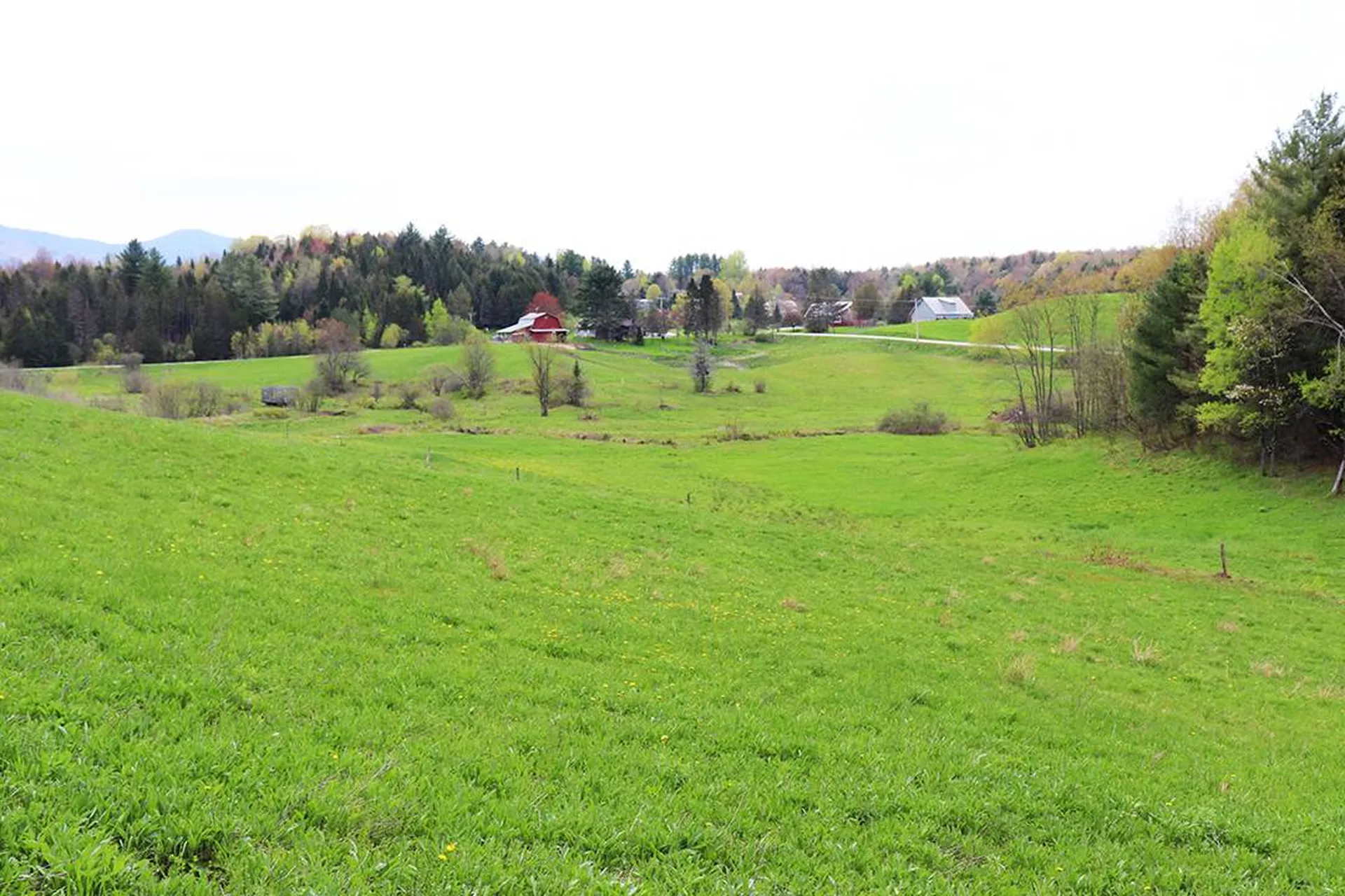 15 Fitzgerald Road Morristown VT 05661