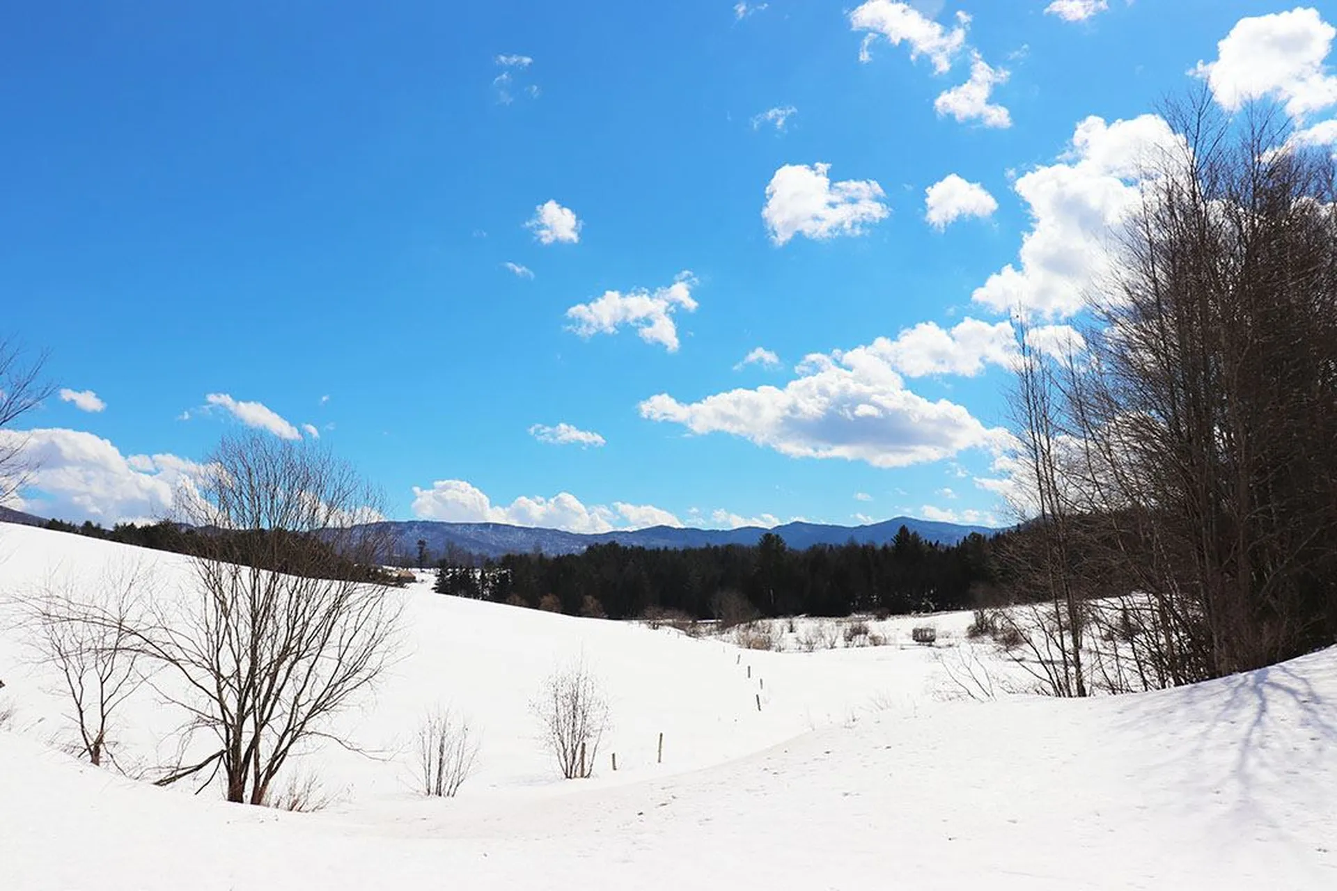 15 Fitzgerald Road Morristown VT 05661