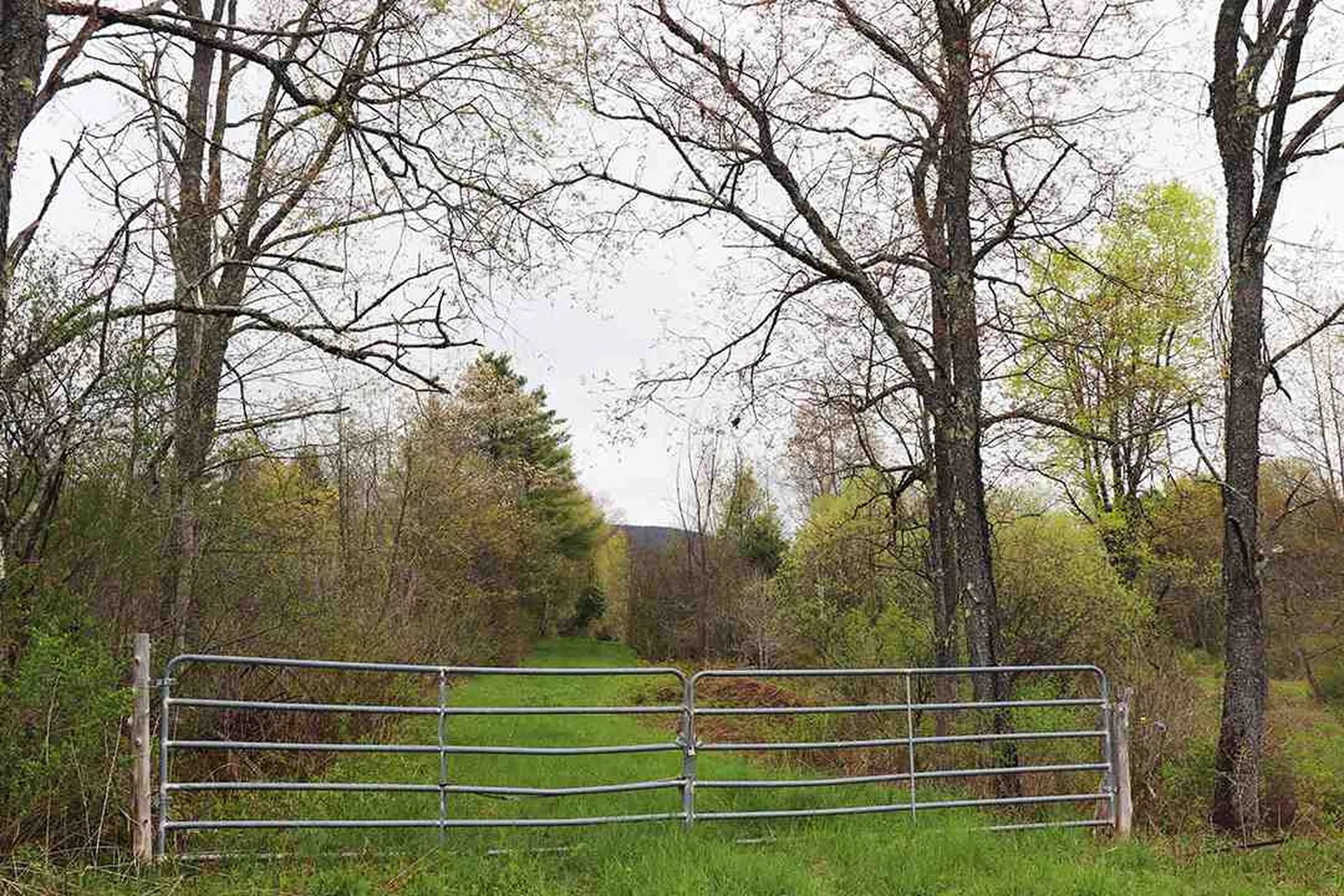 15 Fitzgerald Road Morristown VT 05661