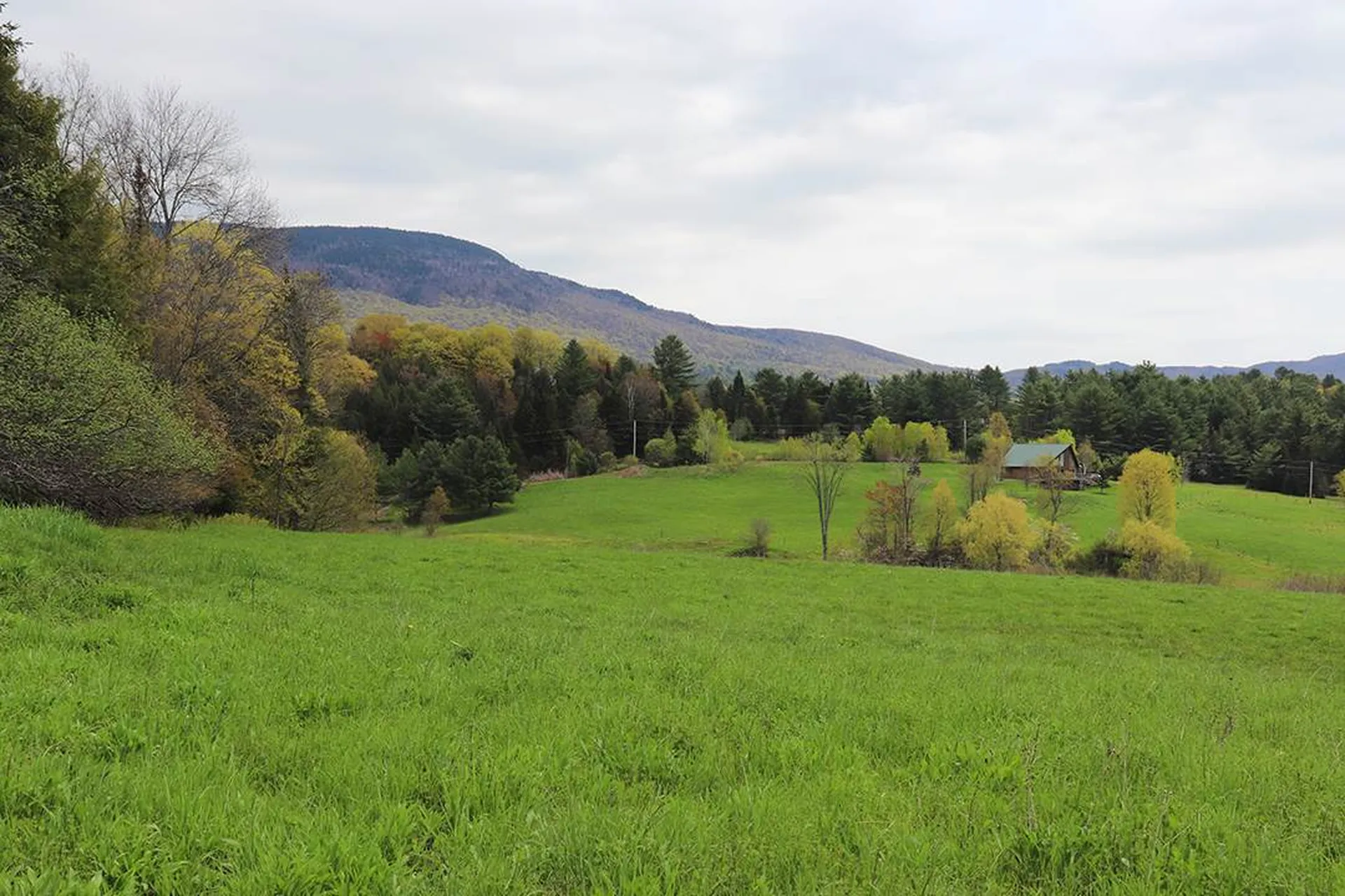 15 Fitzgerald Road Morristown VT 05661