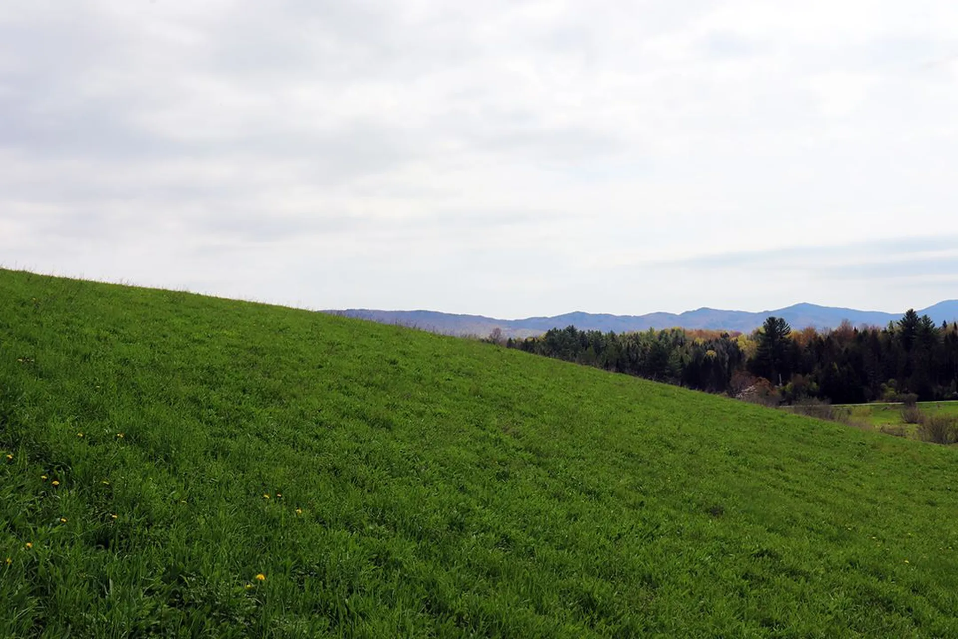 15 Fitzgerald Road Morristown VT 05661