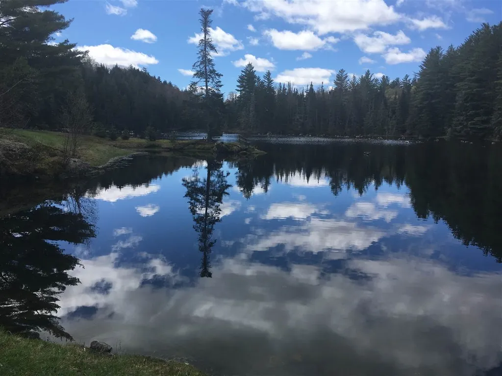 1530 Rabbit Hollow Road Northfield VT 05663