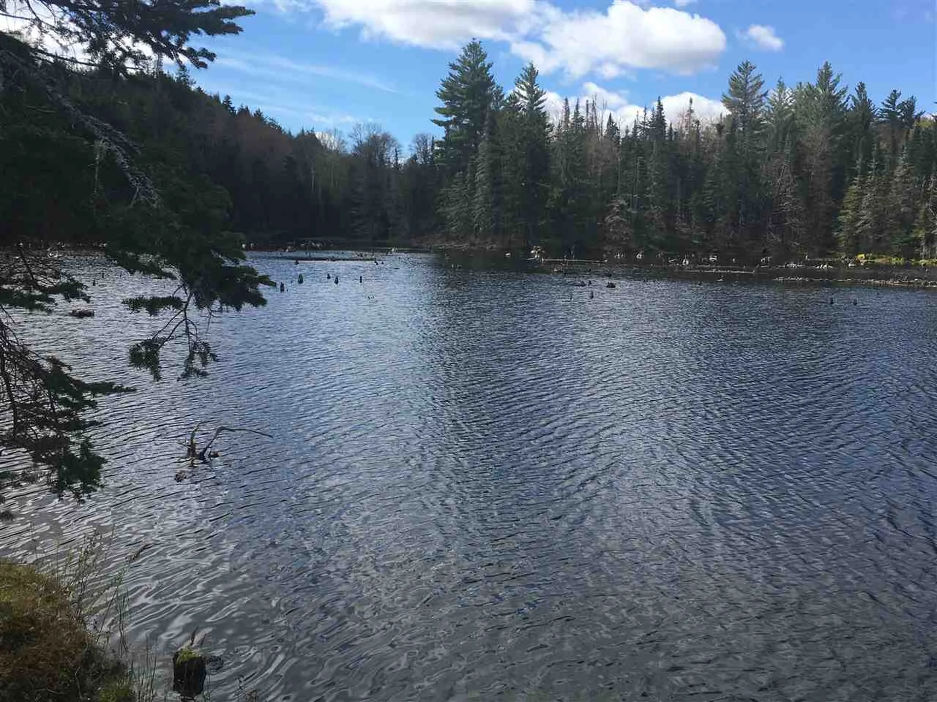 1530 Rabbit Hollow Road Northfield VT 05663