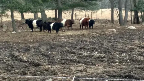 200 Winding Hill Road Northwood NH 03261