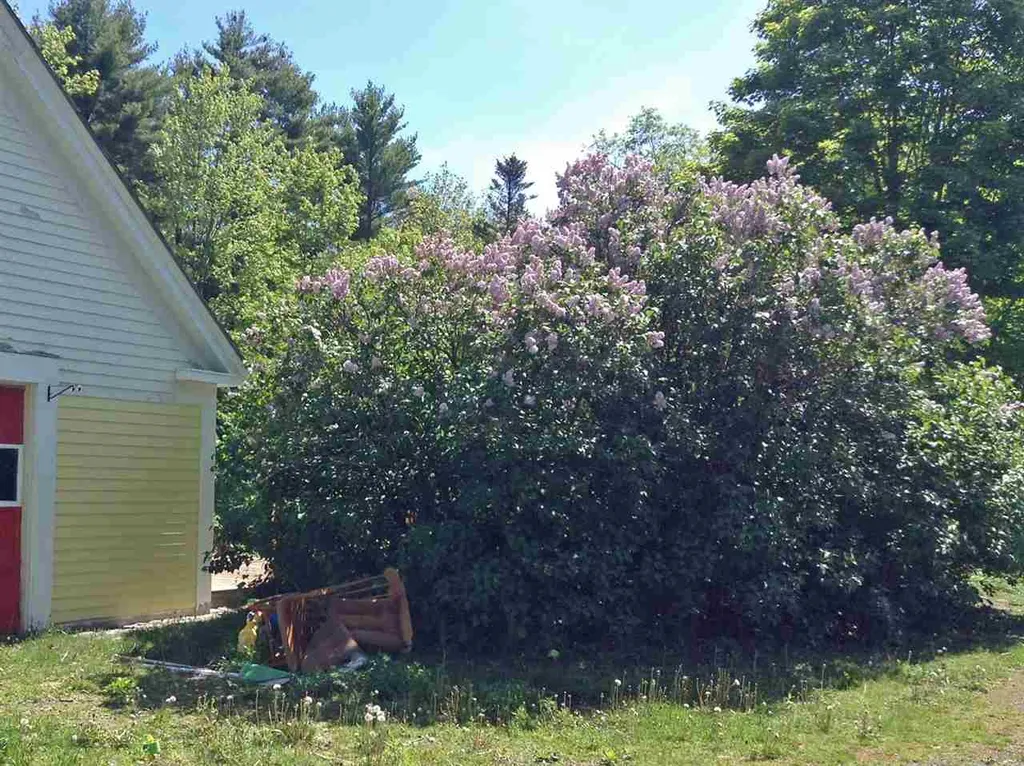 462 North Road Danbury NH 03230