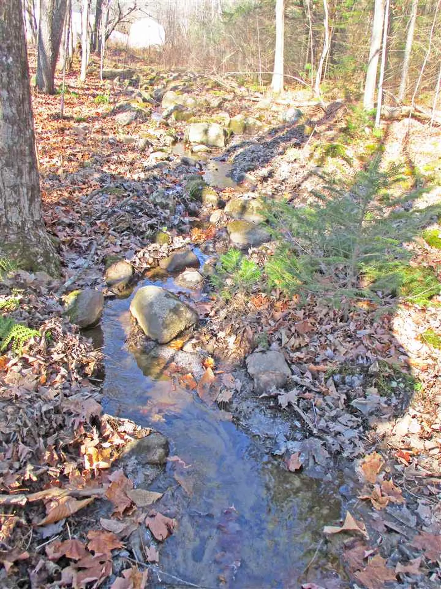 462 North Road Danbury NH 03230