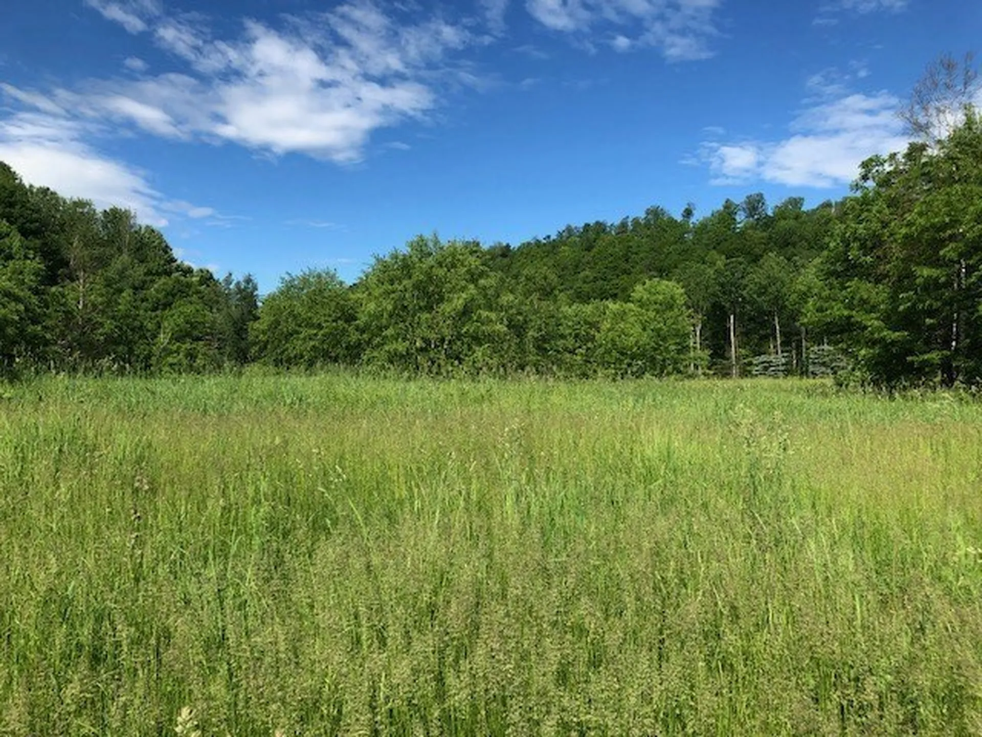 Lot 3 Sunrise Drive Derby VT 05829