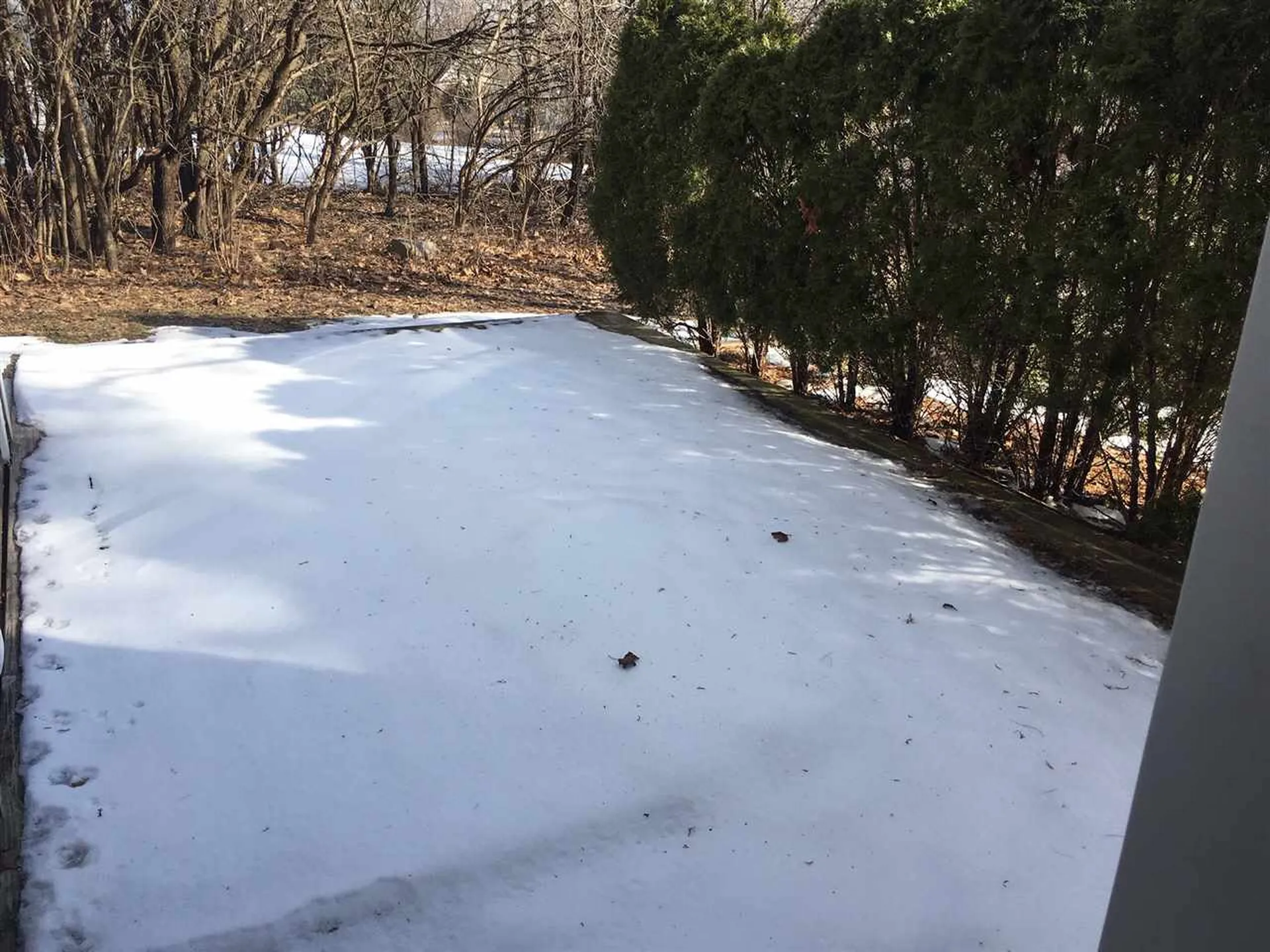 20 Ti Lane Shelburne VT 05482