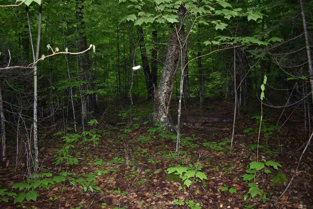 1442 East Echo Lake Road Charleston VT 05872