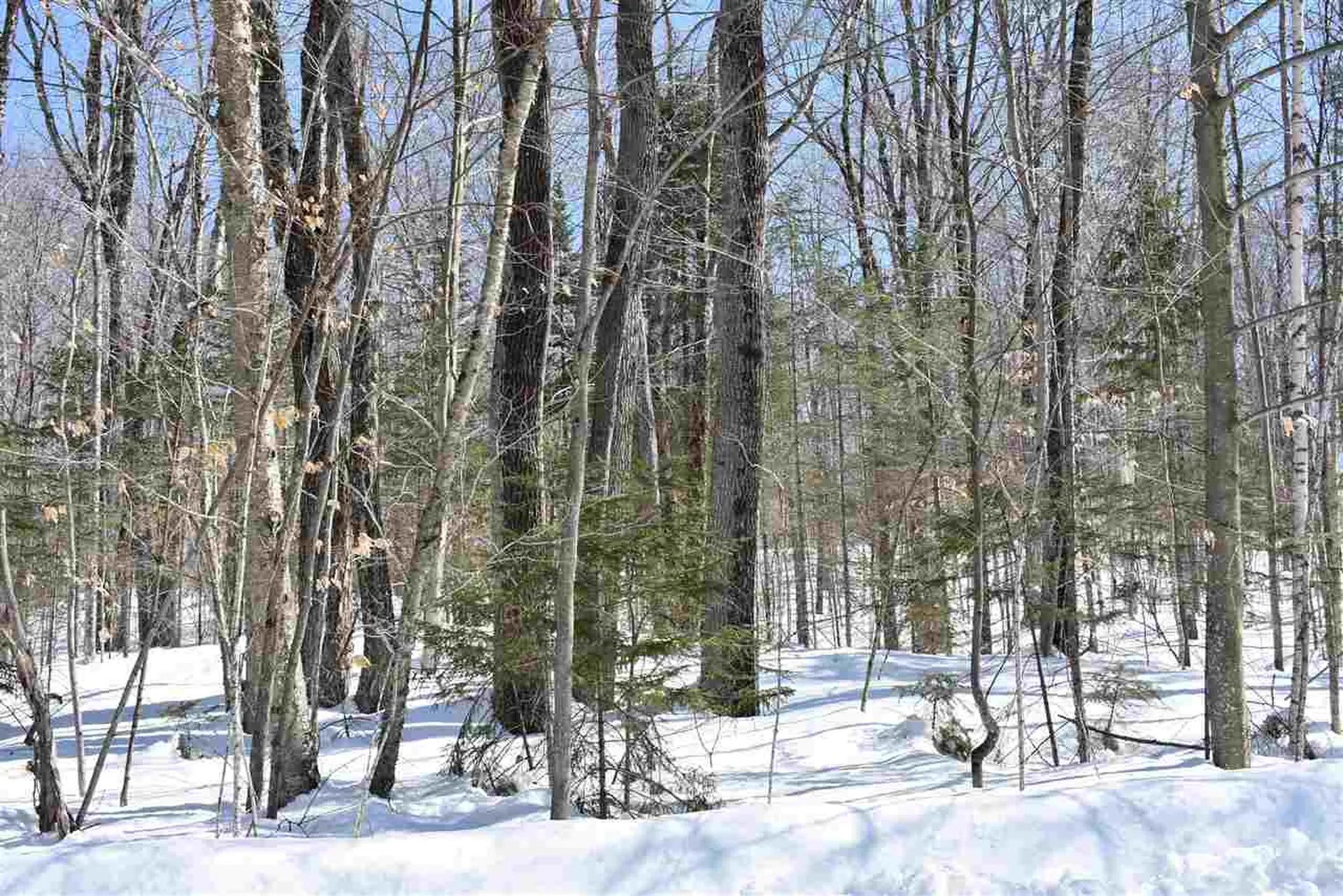 1442 East Echo Lake Road Charleston VT 05872