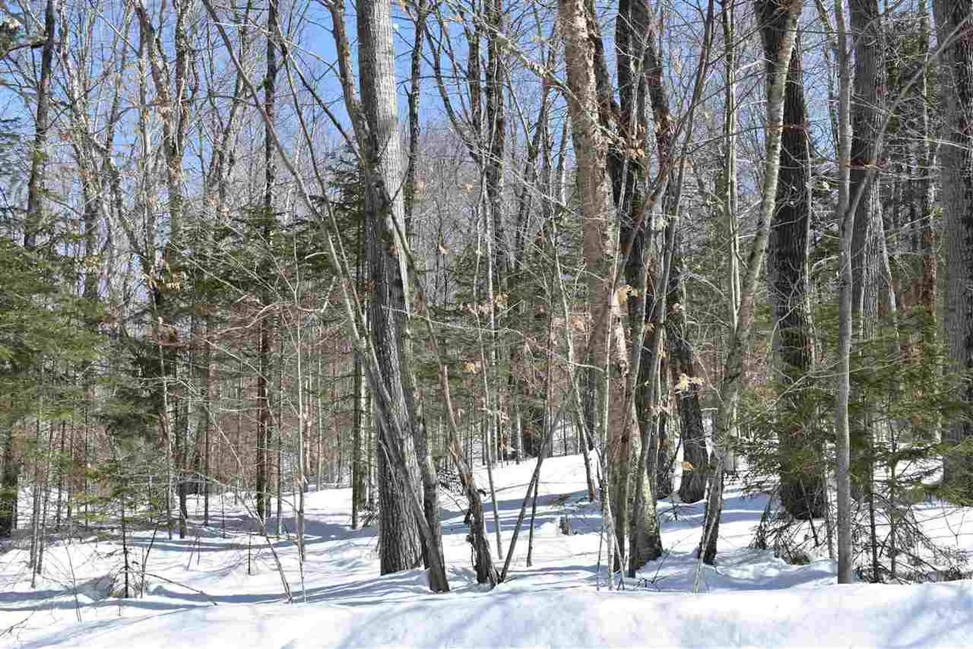 1442 East Echo Lake Road Charleston VT 05872