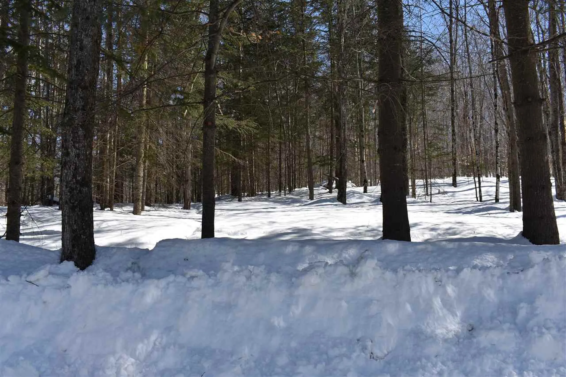 1442 East Echo Lake Road Charleston VT 05872