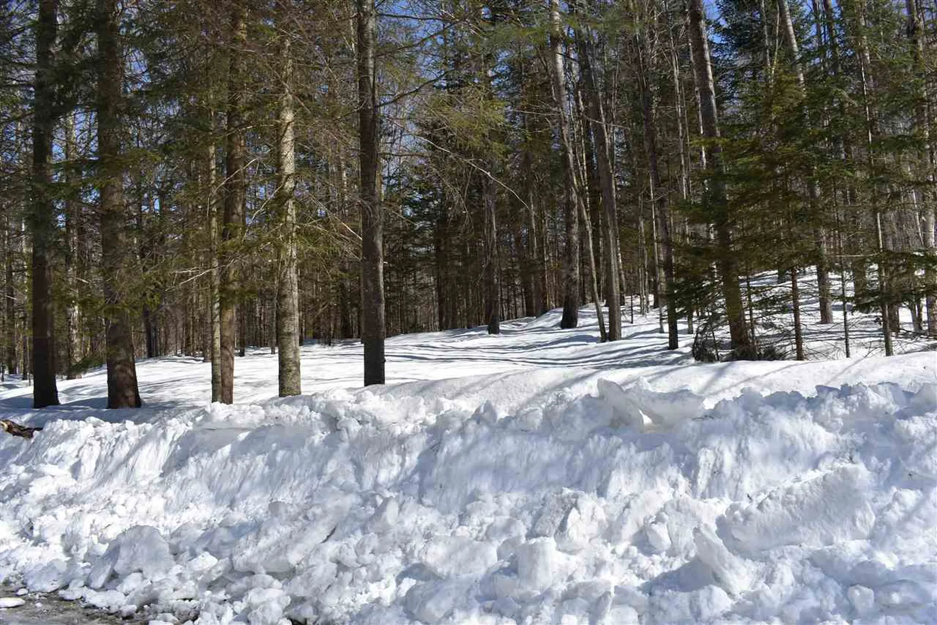 1442 East Echo Lake Road Charleston VT 05872