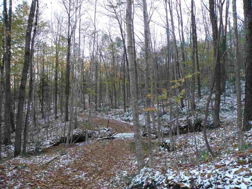 0 Devil's Washbowl Road Moretown VT 05660