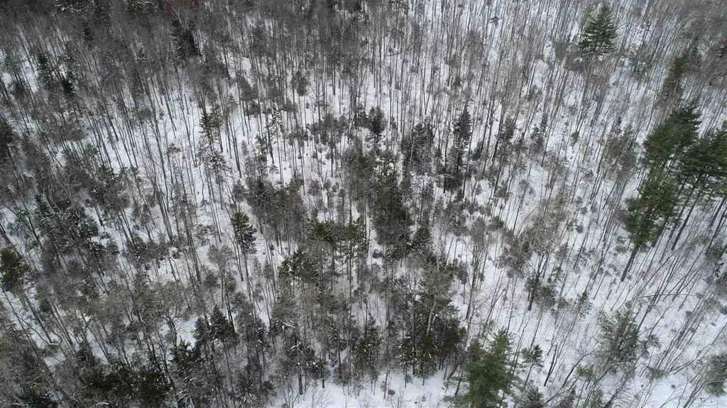 0 Devil's Washbowl Road Moretown VT 05660