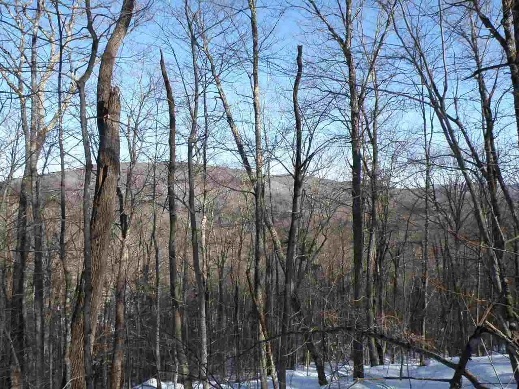 0 Devil's Washbowl Road Moretown VT 05660
