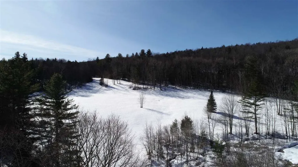 0 Devil's Washbowl Road Moretown VT 05660