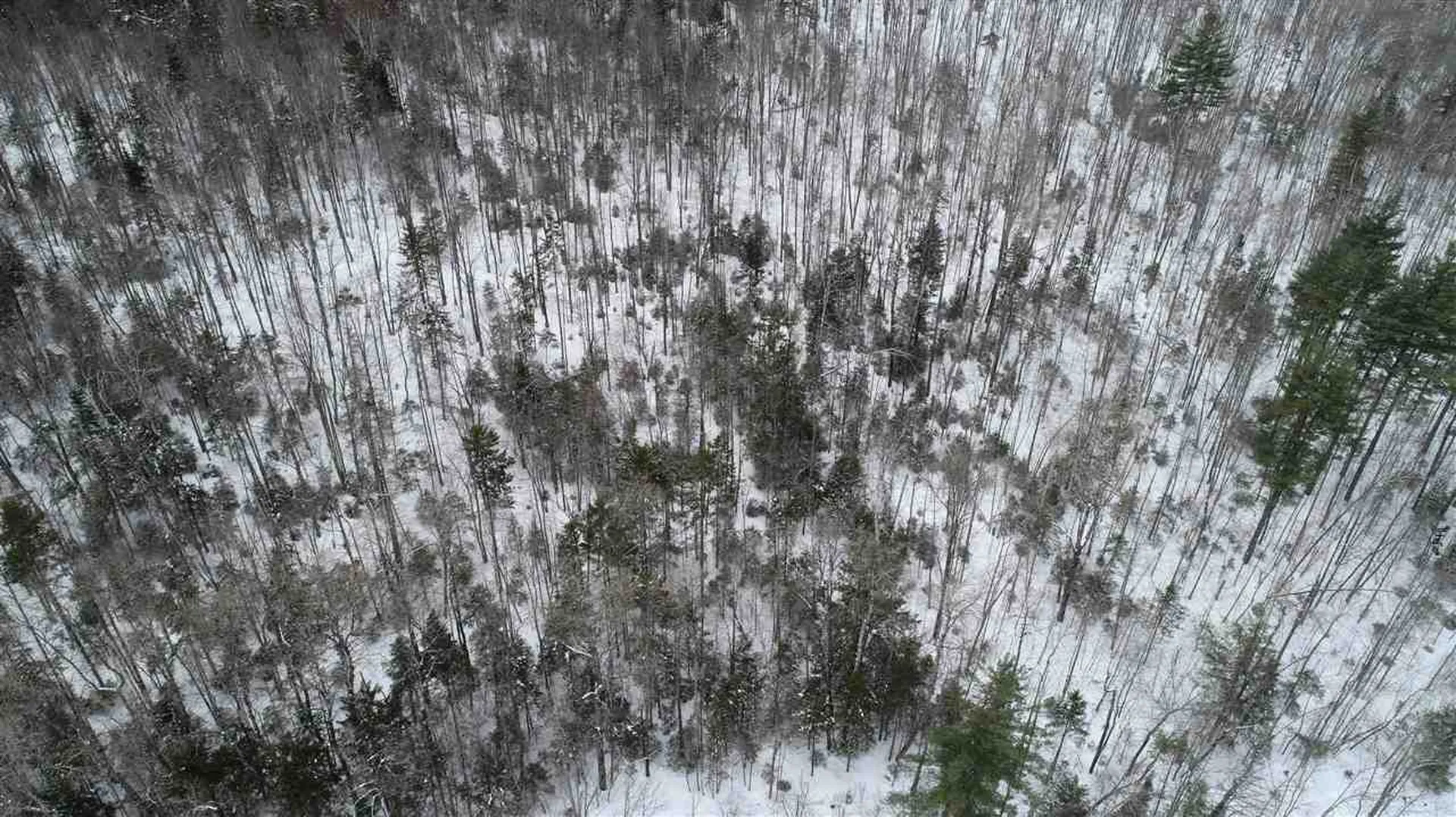 0 Devil's Washbowl Road Moretown VT 05660