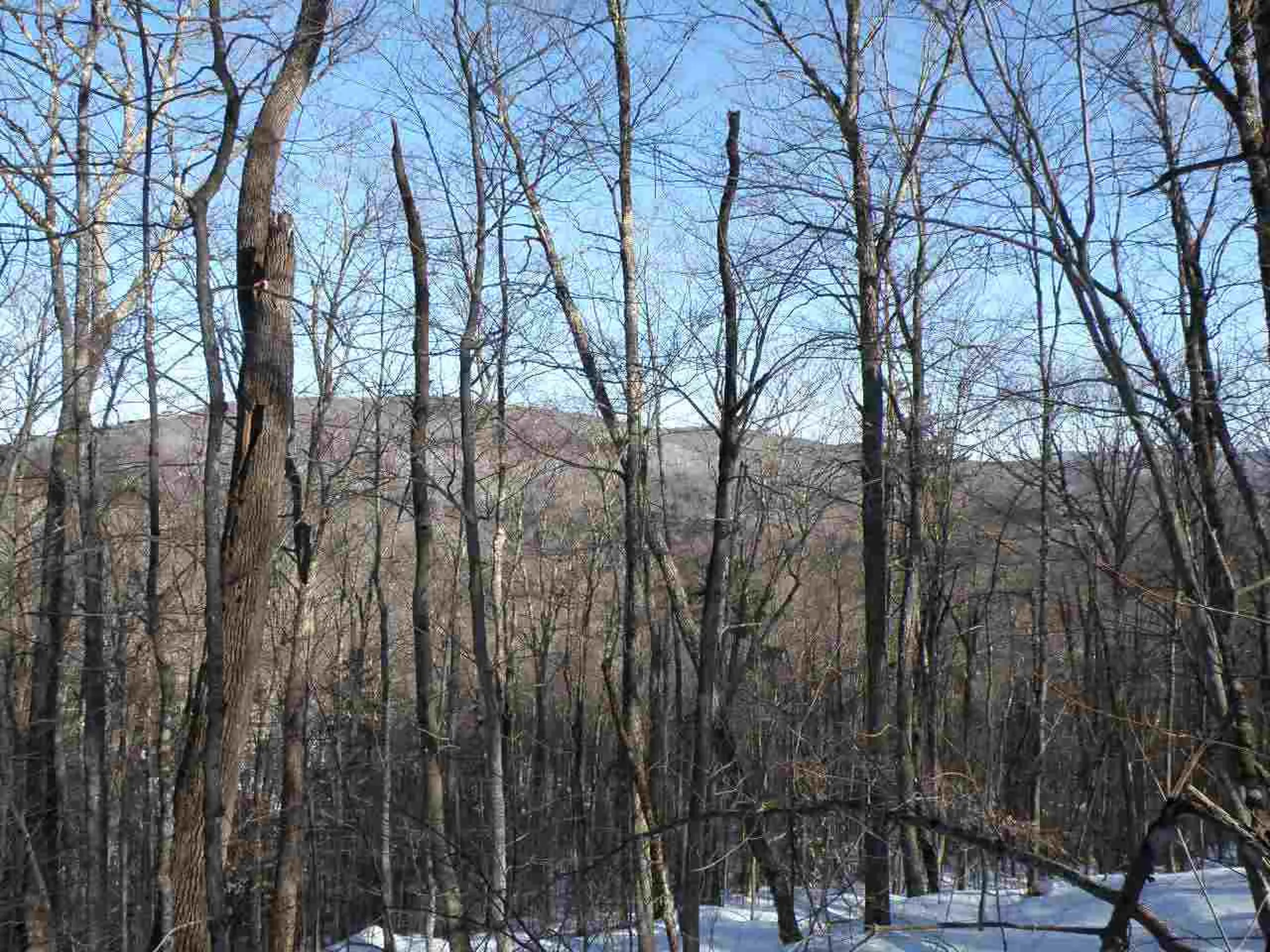 0 Devil's Washbowl Road Moretown VT 05660