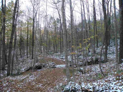 0 Devil's Washbowl Road Moretown VT 05660