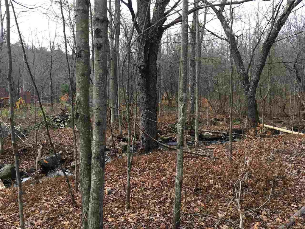 56 Whitneyville Road Halifax VT 05358