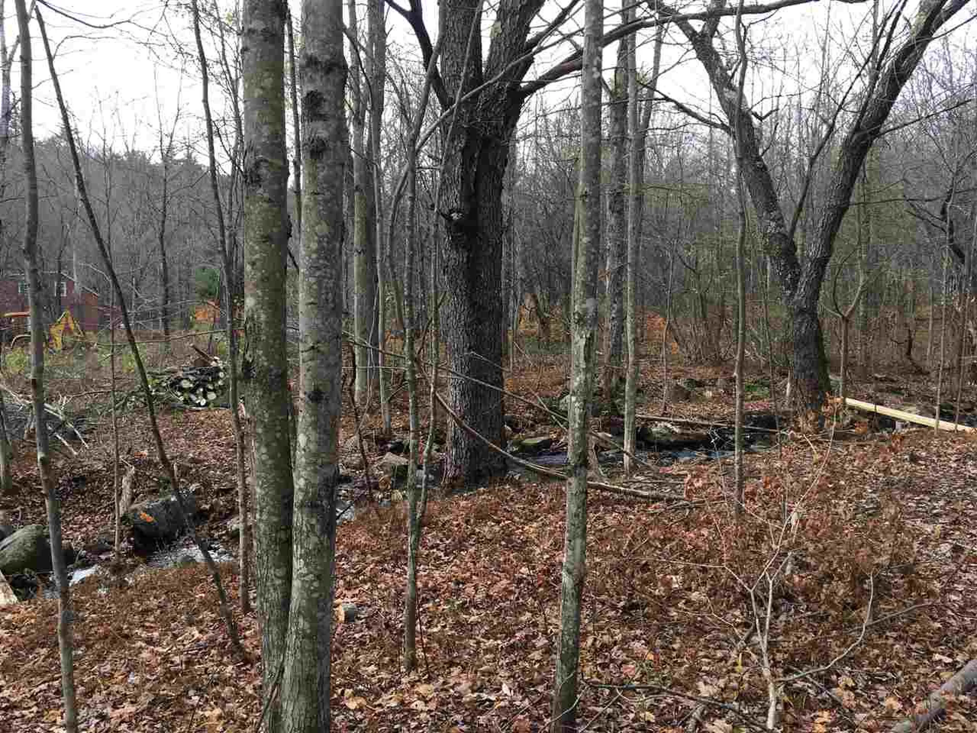 56 Whitneyville Road Halifax VT 05358
