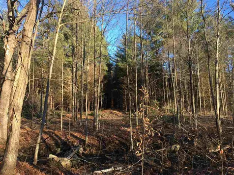 56 Whitneyville Road Halifax VT 05358