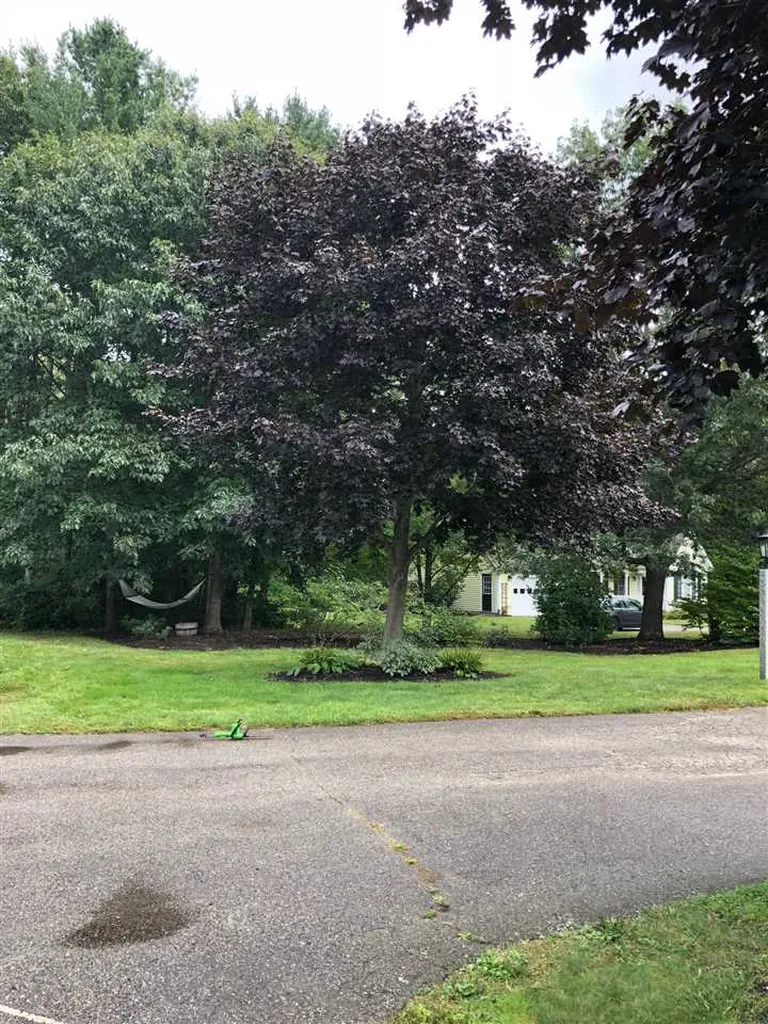 23 Corbin Drive Dover NH 03820