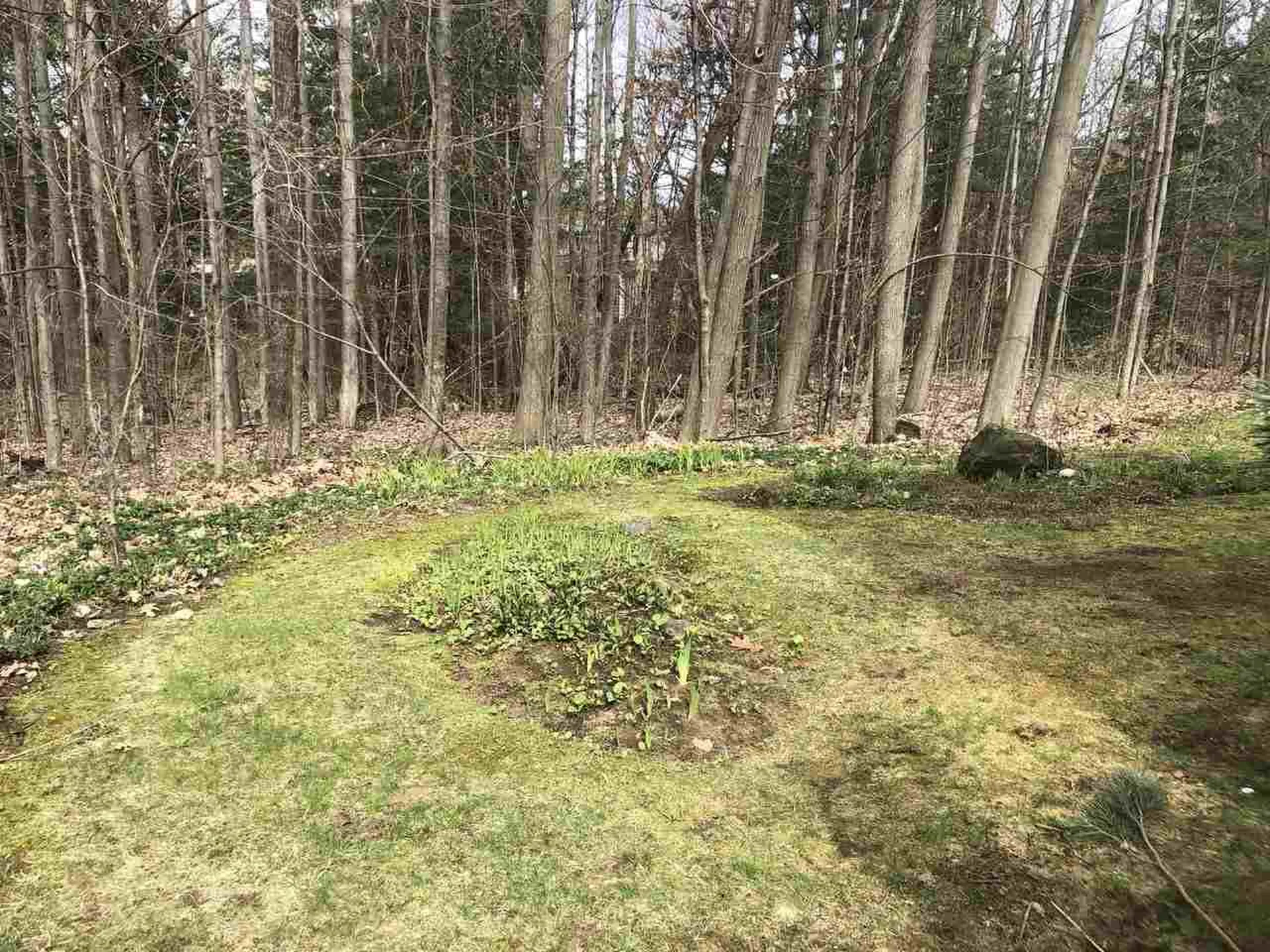 A5 Stonehedge Drive South Burlington VT 05403