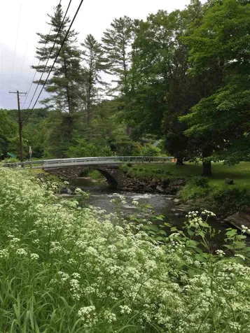 3070 South Road Woodstock VT 05091