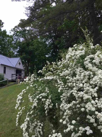 3070 South Road Woodstock VT 05091