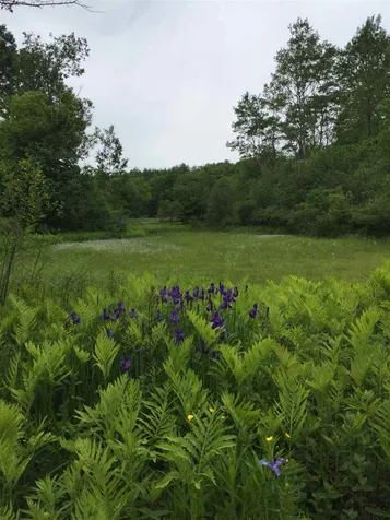 3070 South Road Woodstock VT 05091