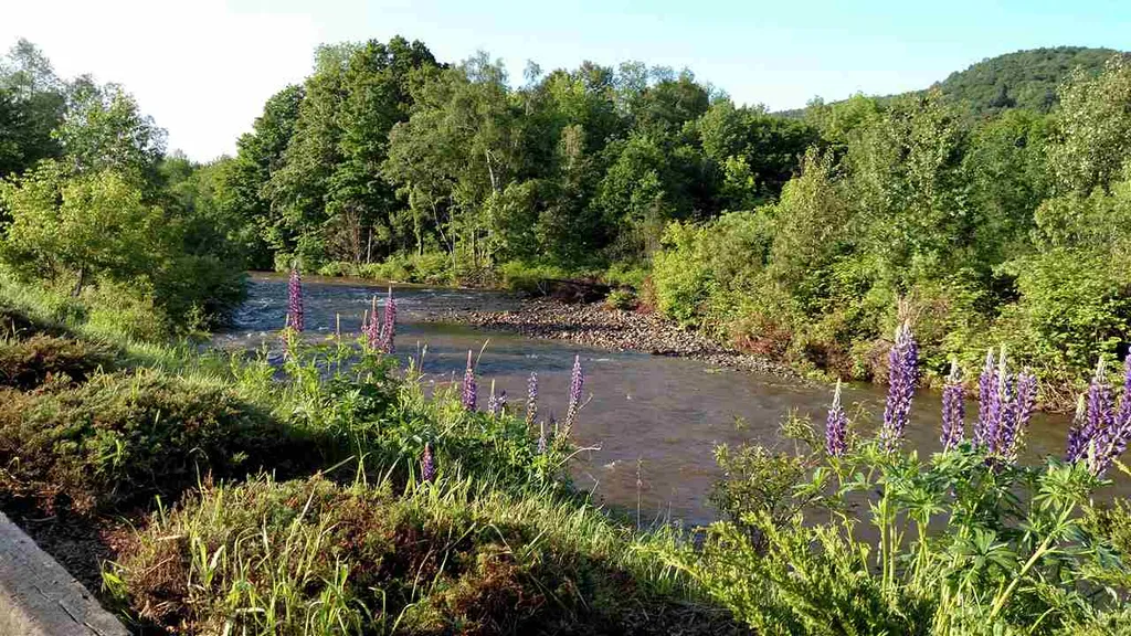 184 River Road Underhill VT 05489