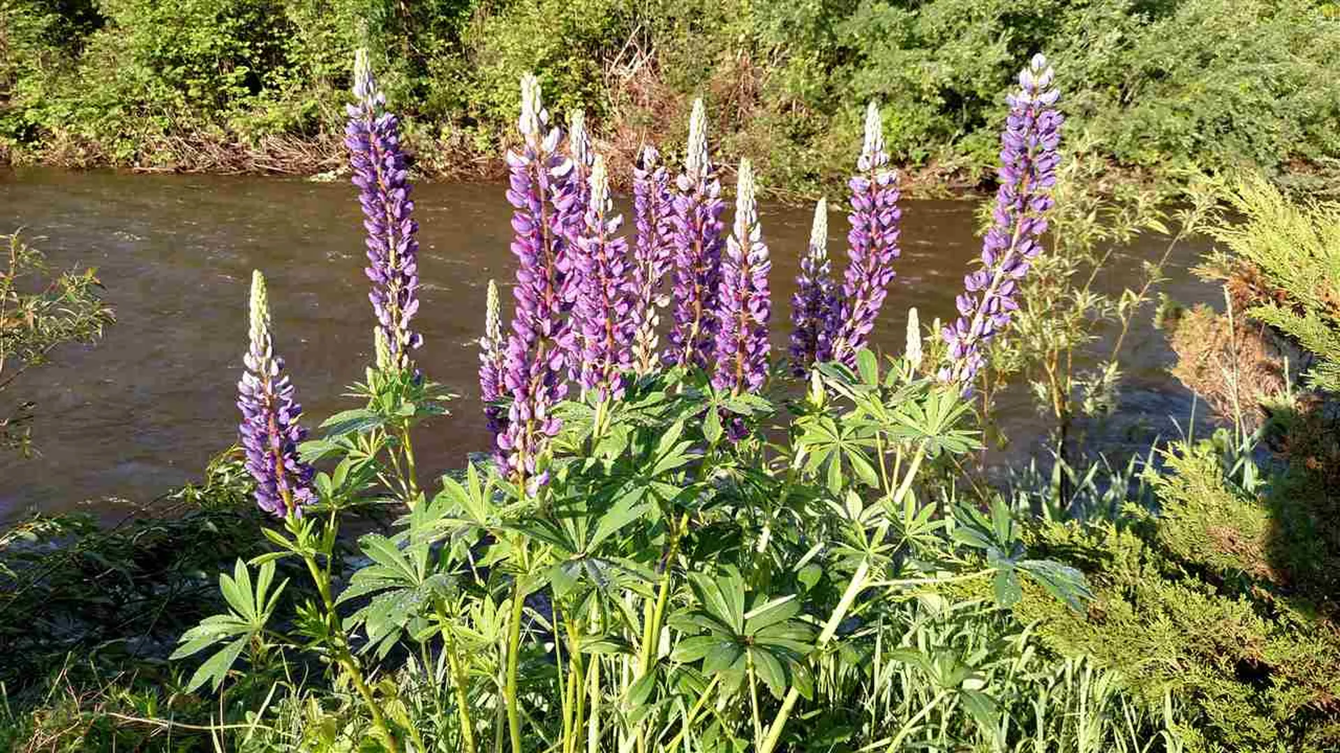 184 River Road Underhill VT 05489