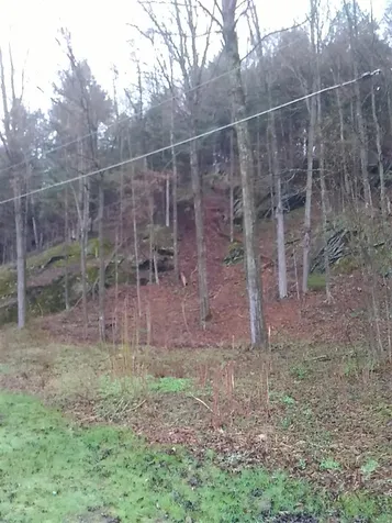 282 Windover Road Randolph VT 05060