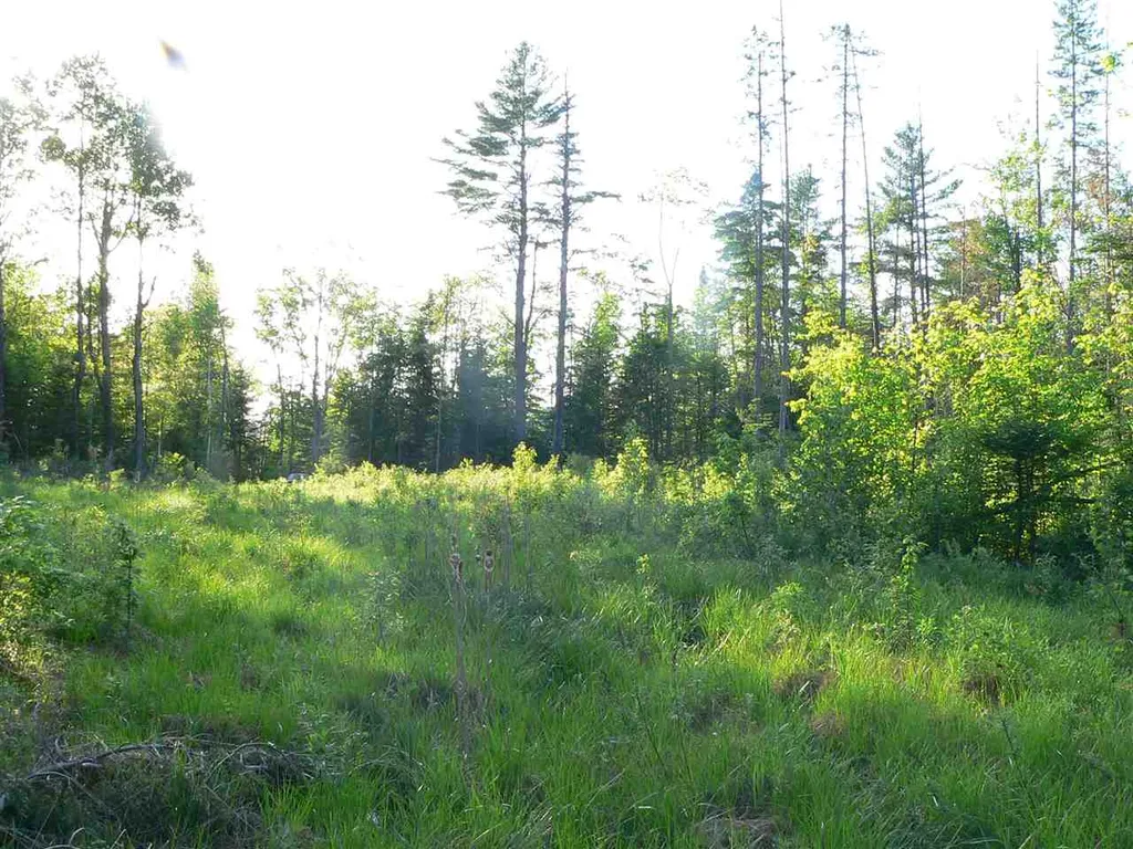 0 Kimball Hill Road Whitefield NH 03598