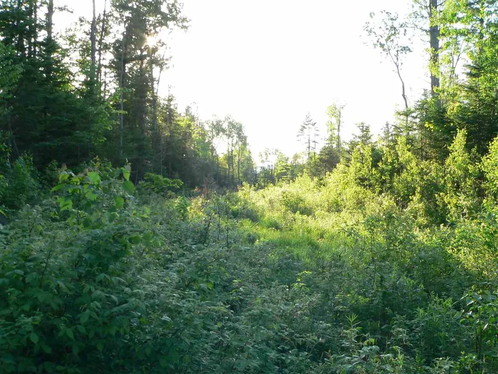 0 Kimball Hill Road Whitefield NH 03598