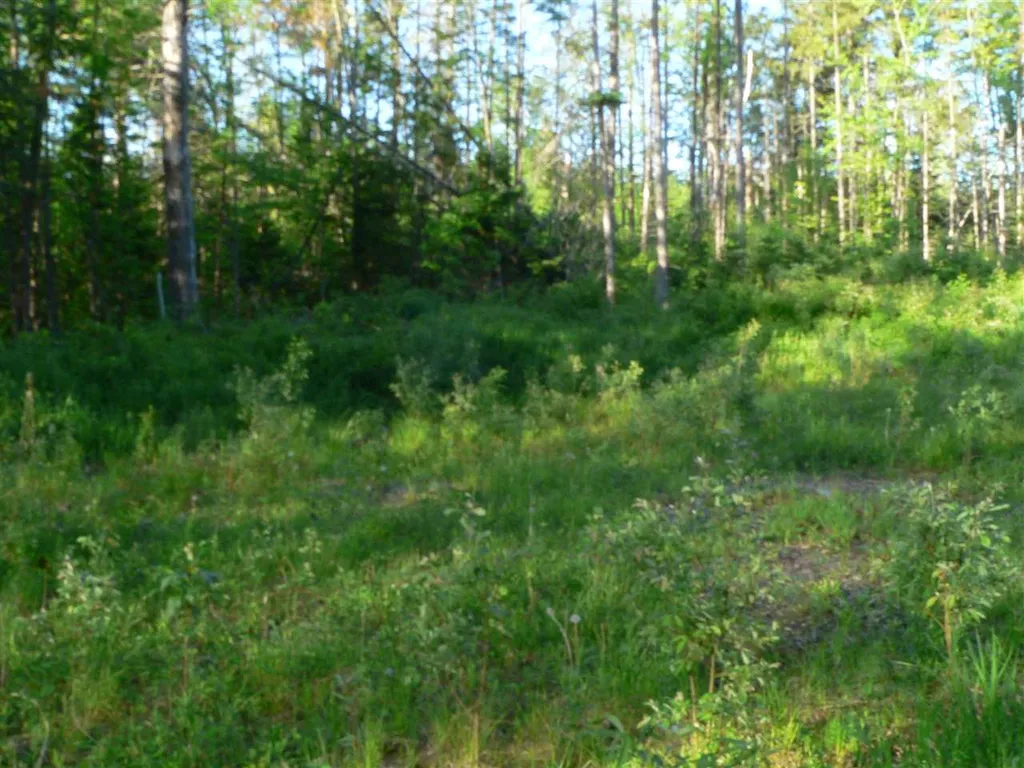 0 Kimball Hill Road Whitefield NH 03598