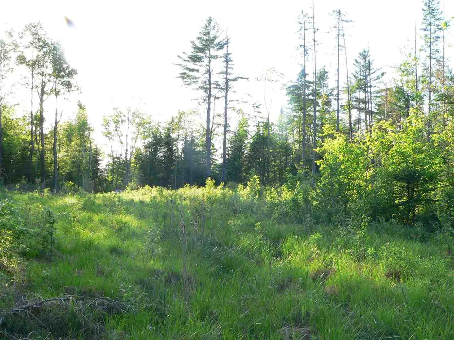 0 Kimball Hill Road Whitefield NH 03598