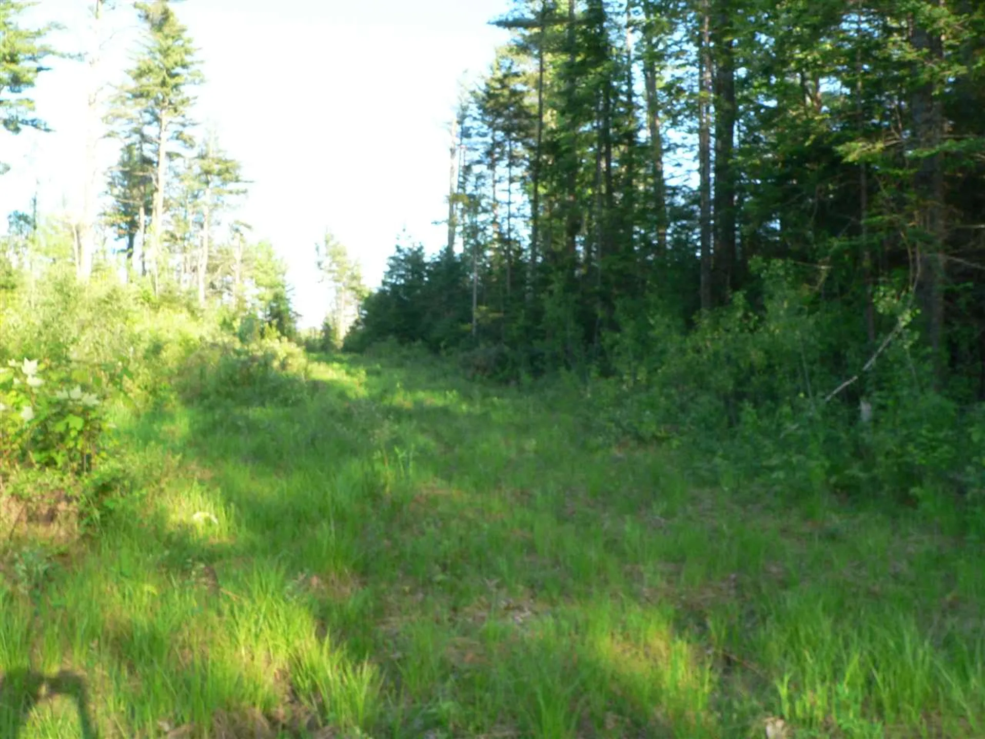 0 Kimball Hill Road Whitefield NH 03598