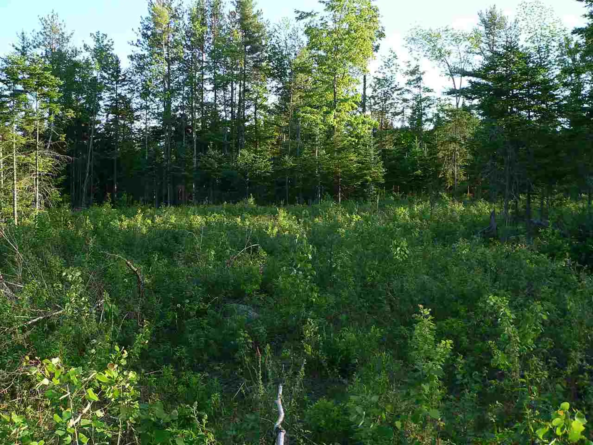 0 Kimball Hill Road Whitefield NH 03598