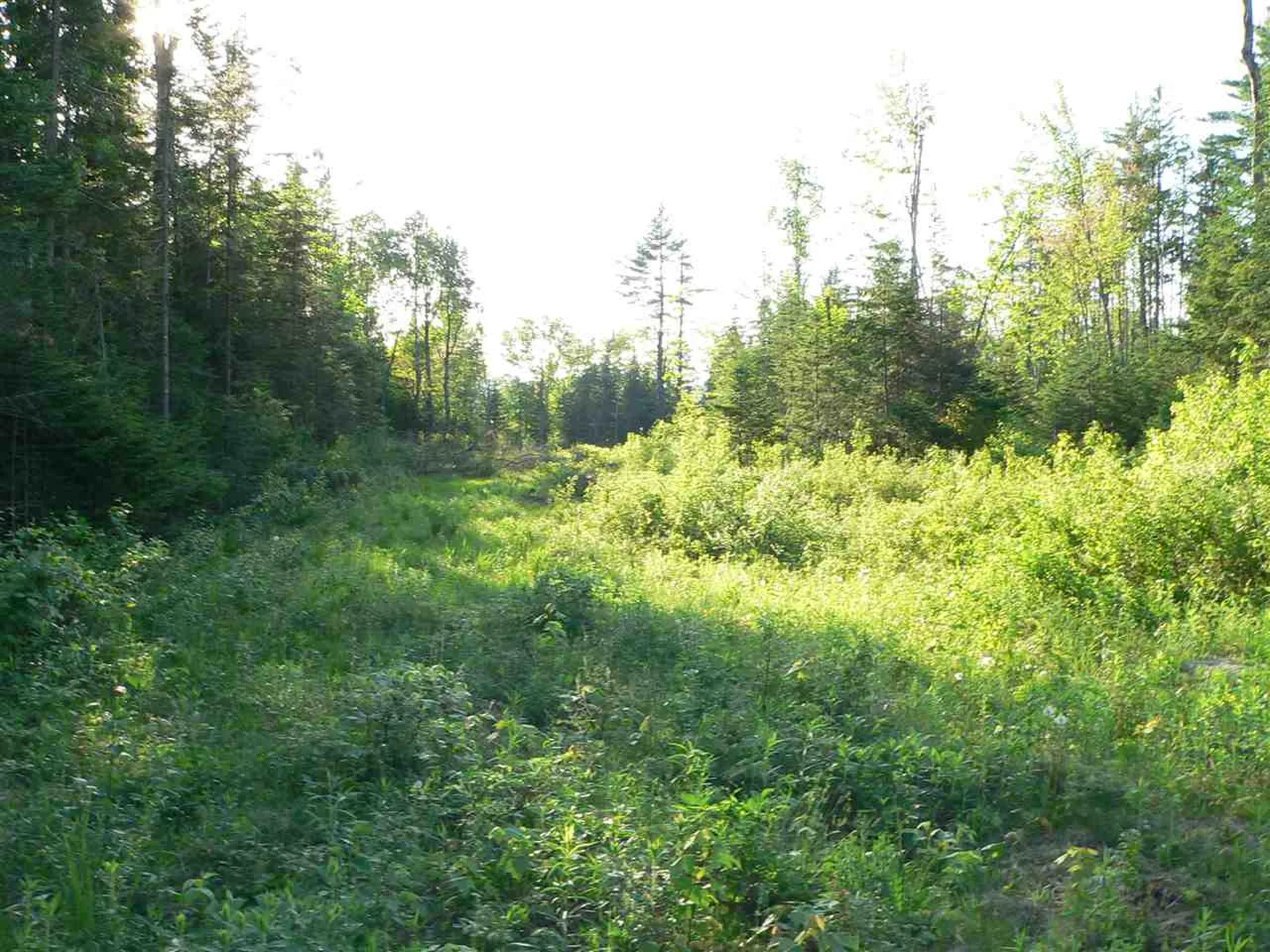 0 Kimball Hill Road Whitefield NH 03598