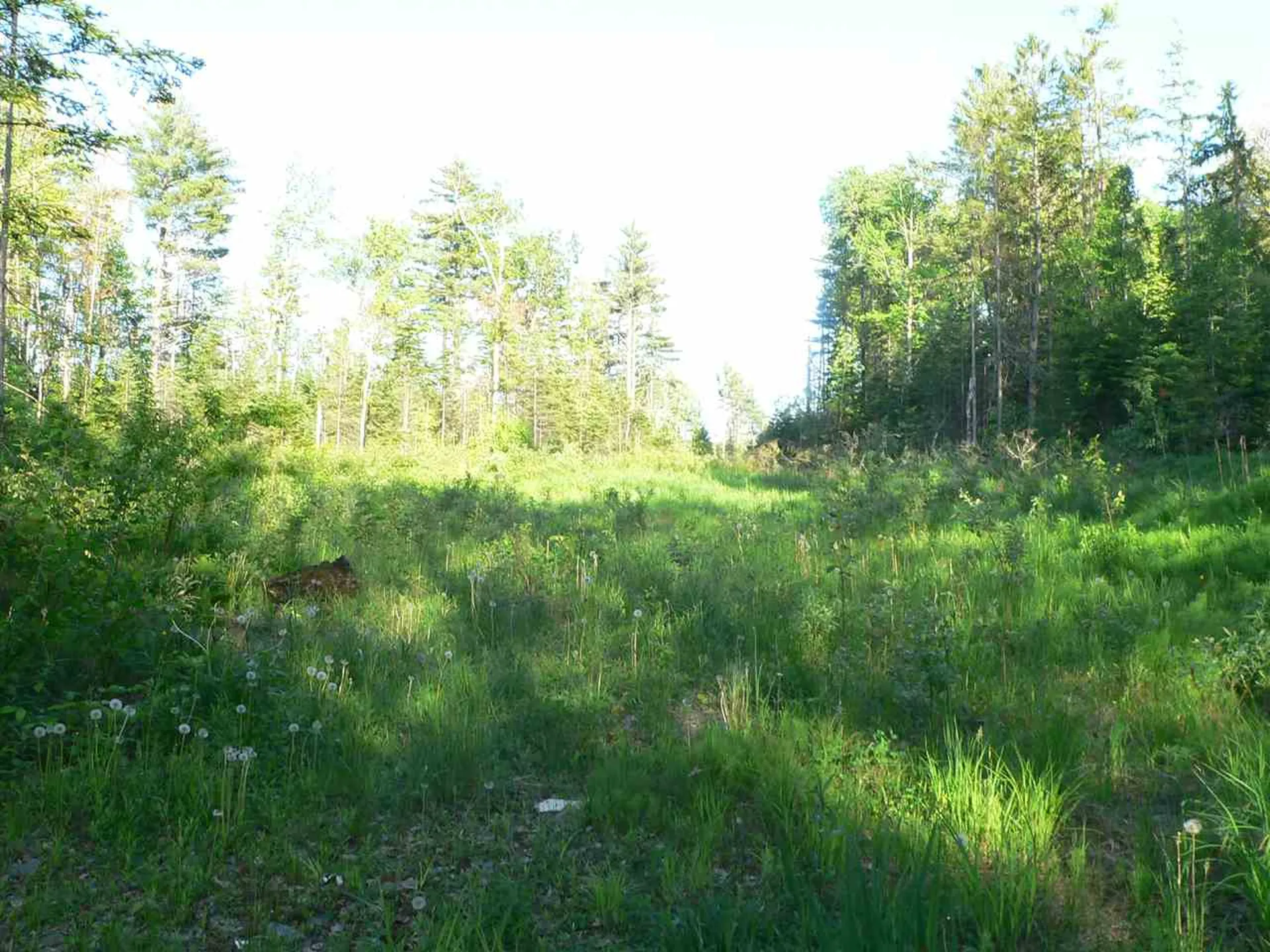 0 Kimball Hill Road Whitefield NH 03598