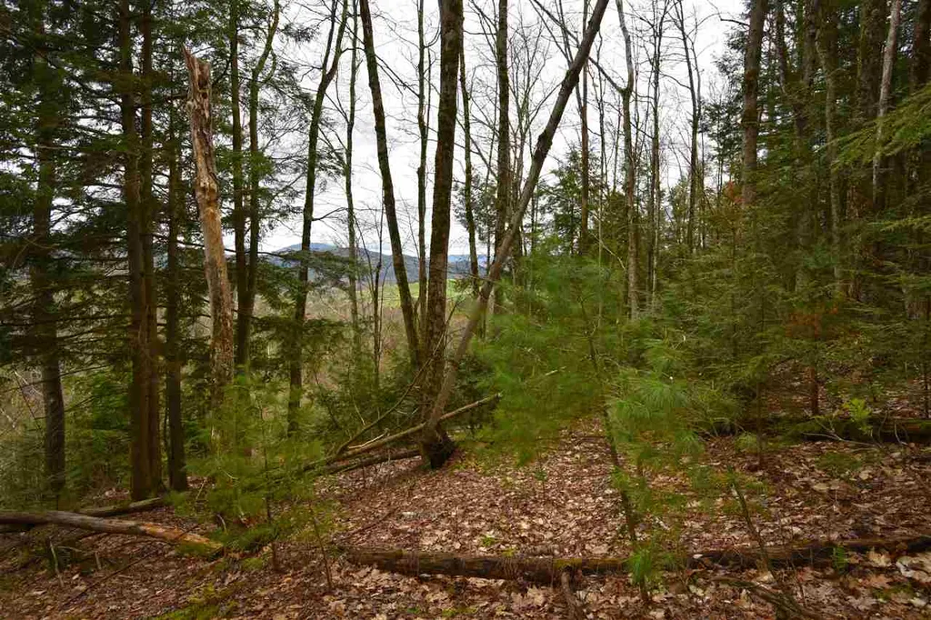 0 Lake Morey Road Bradford VT 05033